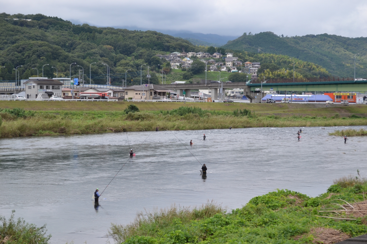 '16狩野川鮎釣